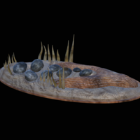 zander 2.0 underwater statue detailed - Thumbnail 11