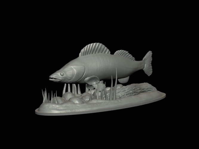 zander 2.0 underwater statue detailed 3D Print 517310