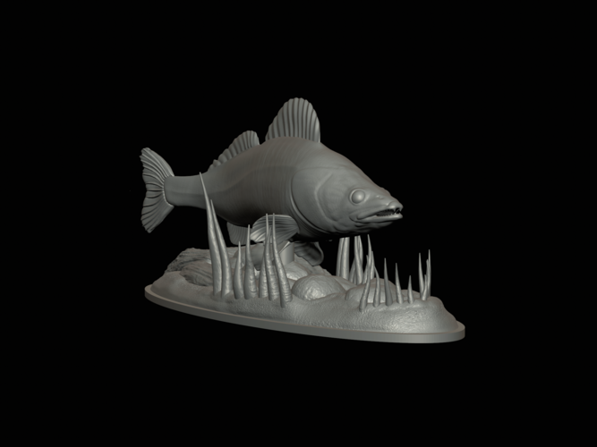 zander 2.0 underwater statue detailed 3D Print 517311