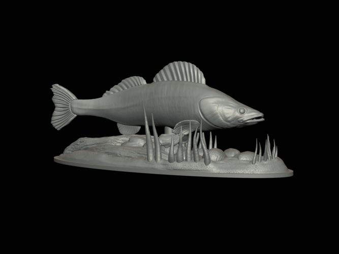 zander 2.0 underwater statue detailed 3D Print 517312