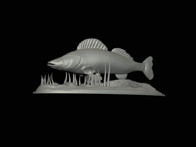 zander 2.0 underwater statue detailed 3D Print 517313