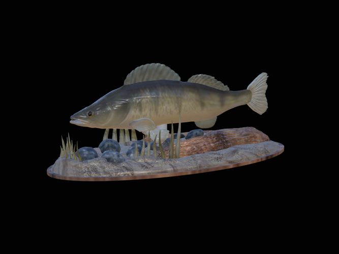 zander 2.0 underwater statue detailed 3D Print 517314