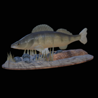 Small zander 2.0 underwater statue detailed 3D Printing 517314