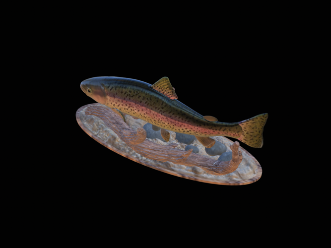 rainbow trout 2.0 underwater statue 3D Print 517316