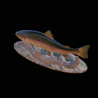 rainbow trout 2.0 underwater statue - Thumbnail 2