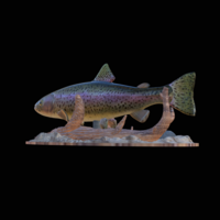 rainbow trout 2.0 underwater statue - Thumbnail 3