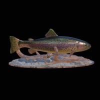 rainbow trout 2.0 underwater statue - Thumbnail 6