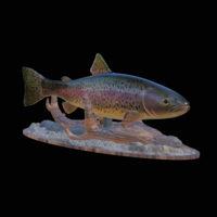 rainbow trout 2.0 underwater statue - Thumbnail 7