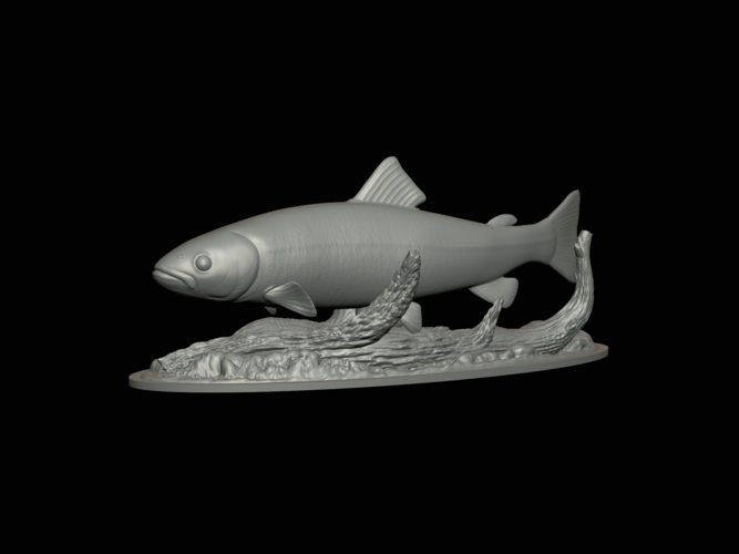 rainbow trout 2.0 underwater statue 3D Print 517322