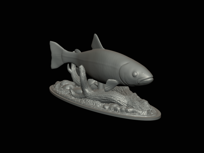 rainbow trout 2.0 underwater statue 3D Print 517324