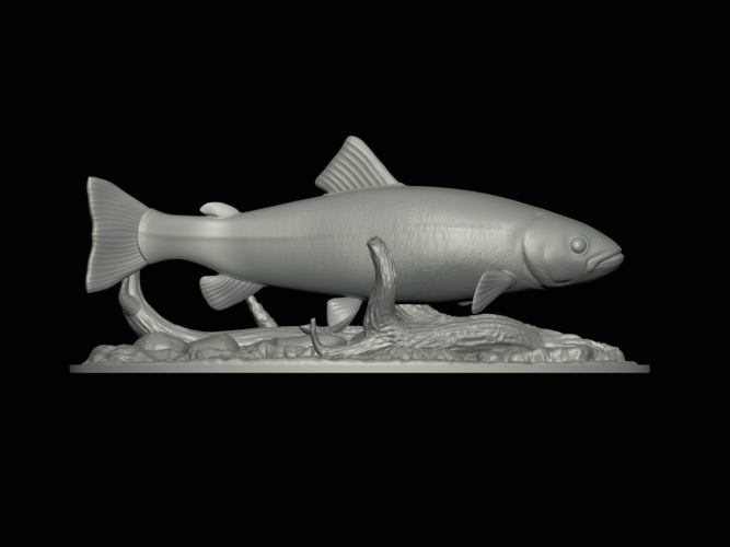 rainbow trout 2.0 underwater statue 3D Print 517325