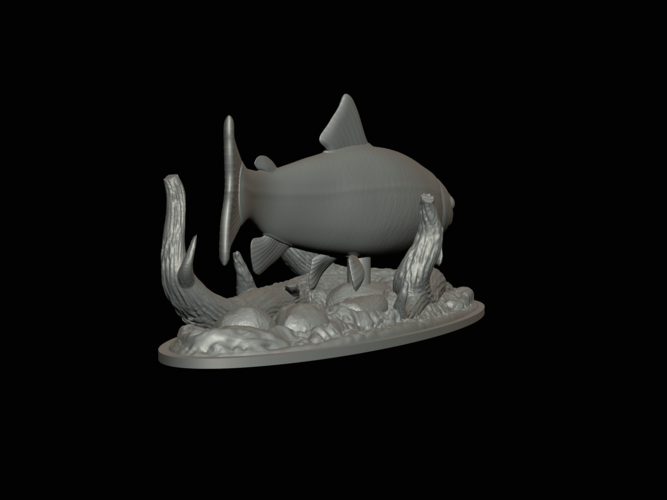 rainbow trout 2.0 underwater statue 3D Print 517326