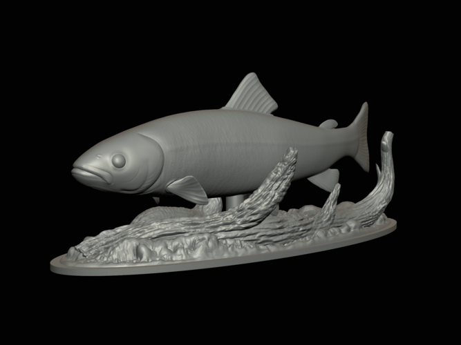 rainbow trout 2.0 underwater statue 3D Print 517328