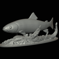 rainbow trout 2.0 underwater statue - Thumbnail 14