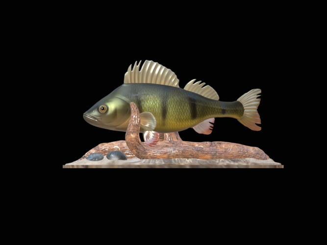 perch 2.0 underwater statue 3D Print 517330