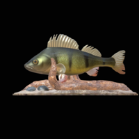 perch 2.0 underwater statue - Thumbnail 1