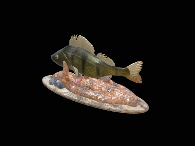 perch 2.0 underwater statue 3D Print 517331