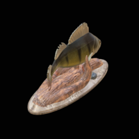 perch 2.0 underwater statue - Thumbnail 4