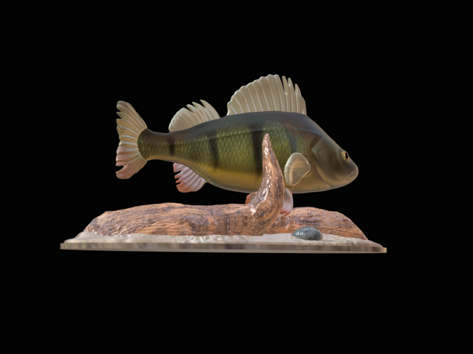 perch 2.0 underwater statue 3D Print 517334