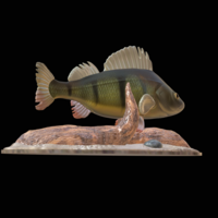 perch 2.0 underwater statue - Thumbnail 5