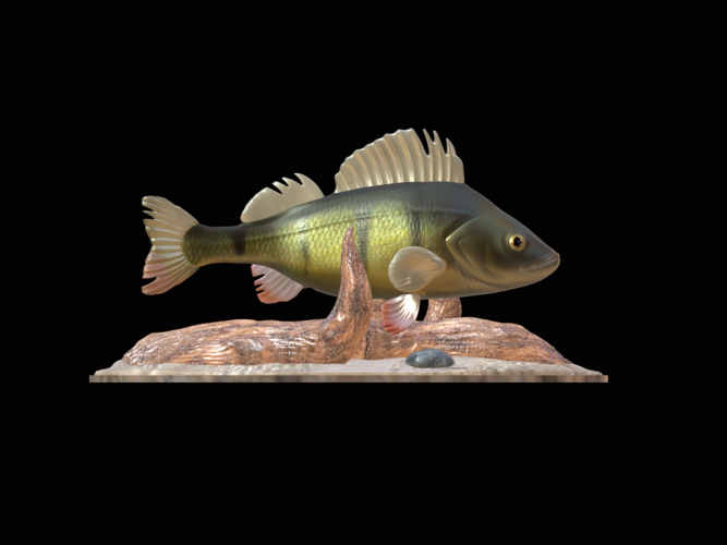 perch 2.0 underwater statue 3D Print 517335