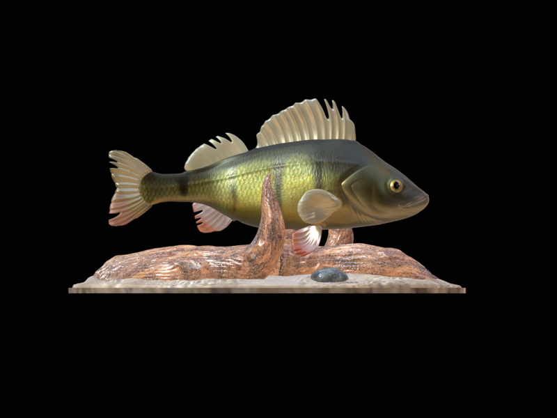 perch 2.0 underwater statue