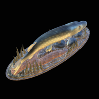 big pike 2.0 underwater statue - Thumbnail 3