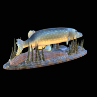 big pike 2.0 underwater statue - Thumbnail 4