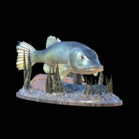 big pike 2.0 underwater statue - Thumbnail 8