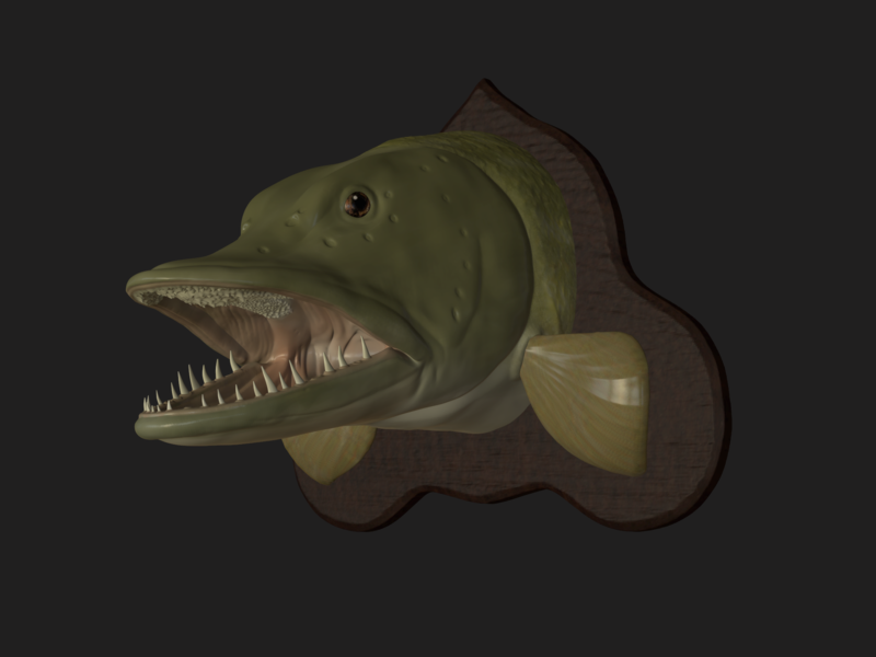 pike head detailed texture trophy taxidermy