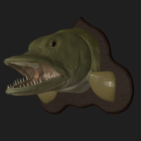 pike head detailed texture trophy taxidermy - Thumbnail 1
