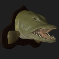 pike head detailed texture trophy taxidermy - Thumbnail 2