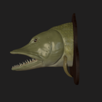 pike head detailed texture trophy taxidermy - Thumbnail 5