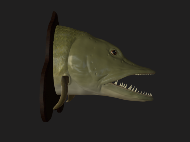 pike head detailed texture trophy taxidermy 3D Print 517432