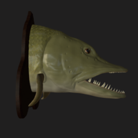 pike head detailed texture trophy taxidermy - Thumbnail 6