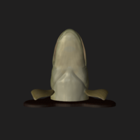 pike head detailed texture trophy taxidermy - Thumbnail 9