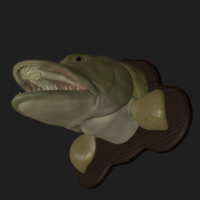 pike head detailed texture trophy taxidermy - Thumbnail 10