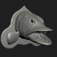 pike head detailed texture trophy taxidermy - Thumbnail 13