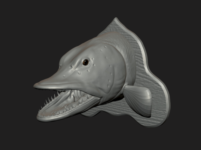 pike head detailed texture trophy taxidermy 3D Print 517440