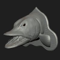 pike head detailed texture trophy taxidermy - Thumbnail 14