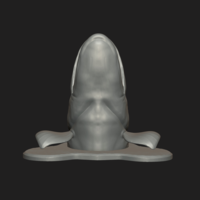 pike head detailed texture trophy taxidermy - Thumbnail 17