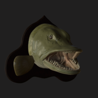 pike head detailed texture trophy taxidermy - Thumbnail 18
