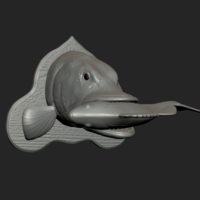 Pike eat perch detailed texture trophy taxidermy - Thumbnail 3