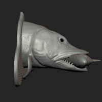 Pike eat perch detailed texture trophy taxidermy - Thumbnail 6