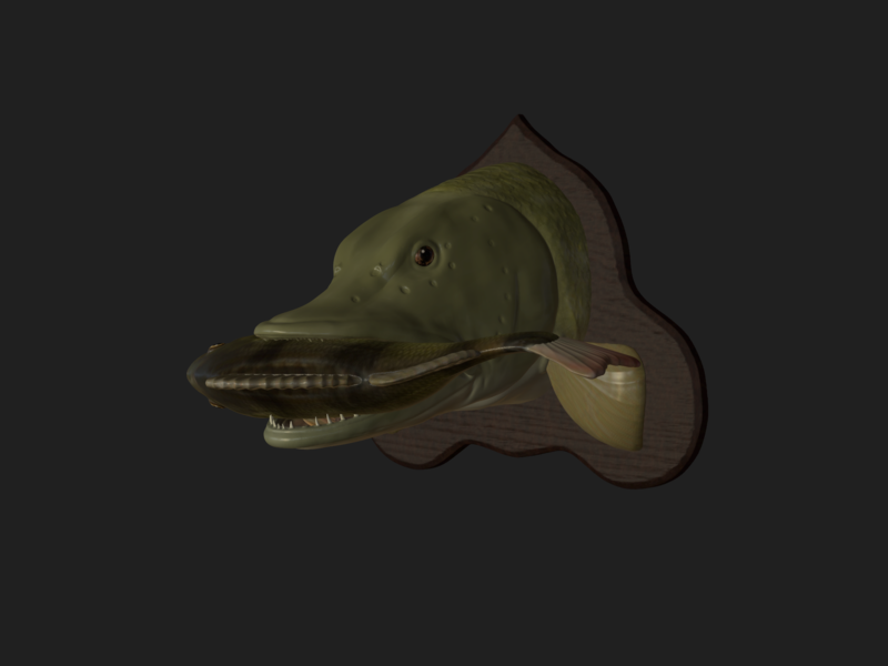 Pike eat perch detailed texture trophy taxidermy