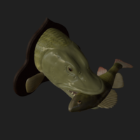 Pike eat perch detailed texture trophy taxidermy - Thumbnail 10