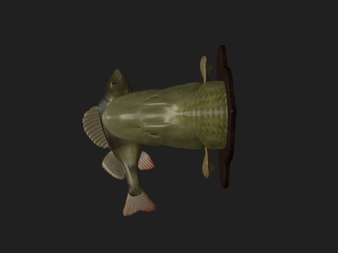 Pike eat perch detailed texture trophy taxidermy 3D Print 517455