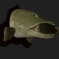 Pike eat perch detailed texture trophy taxidermy - Thumbnail 13