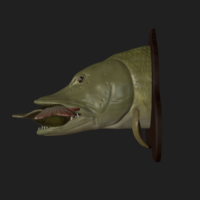Pike eat perch detailed texture trophy taxidermy - Thumbnail 15