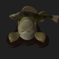 Pike eat perch detailed texture trophy taxidermy - Thumbnail 18